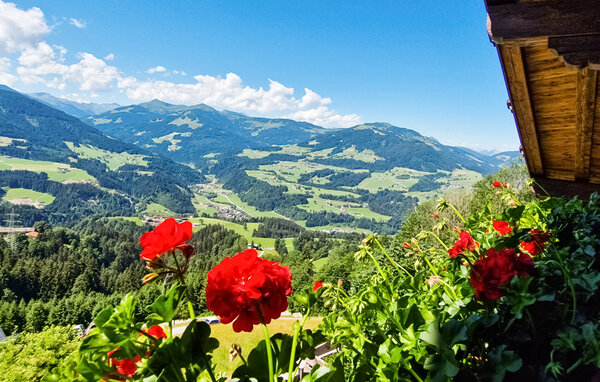 Appartement Ferienwohnung mit Bergpanorama
