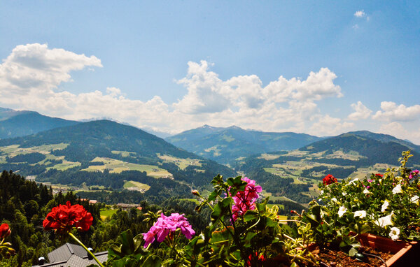 Appartement Ferienwohnung mit Bergpanorama
