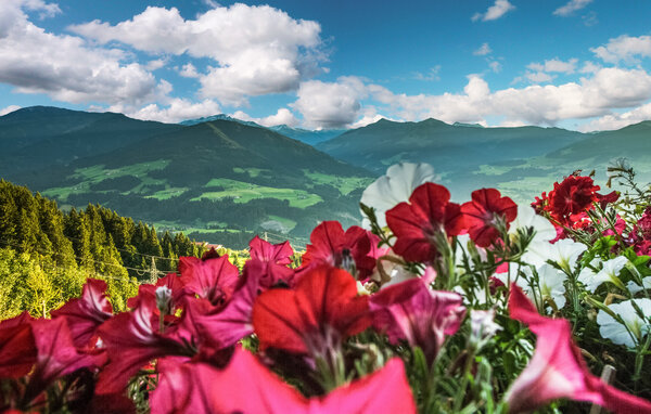 Appartement Apartment Blick Hohen Salve