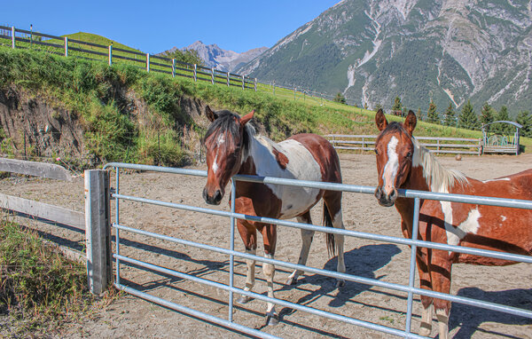 Domy wakacyjne - Schönwies , Austria - ATA347 106