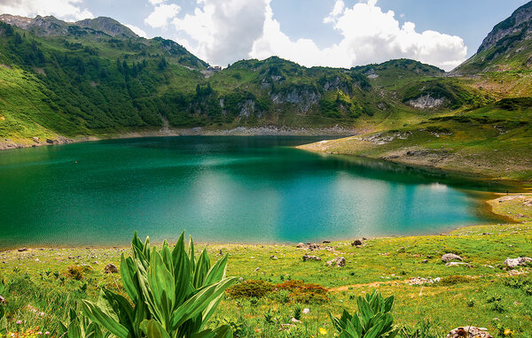 Kuća-za-odmor - Dalaas am Arlberg , Austrija - AVO079 905
