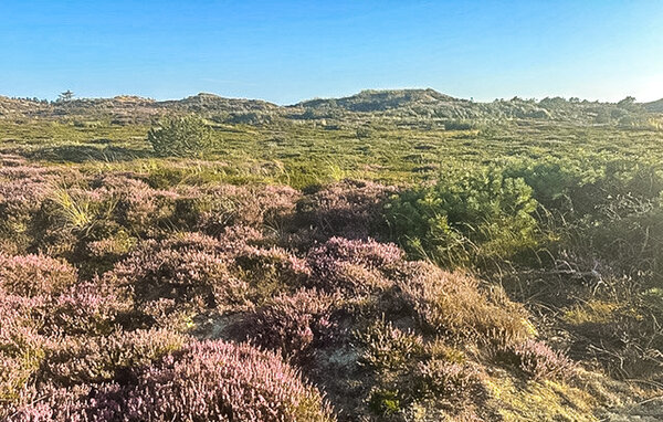 Vakantiehuis - Vorupør Strand , Denemarken - B17037 102