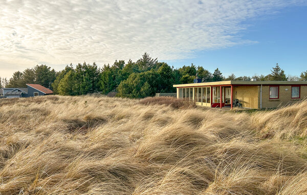 Ferienhaus - Vorupør , Dänemark - B18012 103