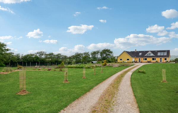Ferienhaus - Snedsted , Dänemark - B20011 81