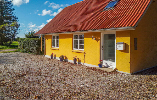 Holiday Home - Svankær , Denmark - B30013 1