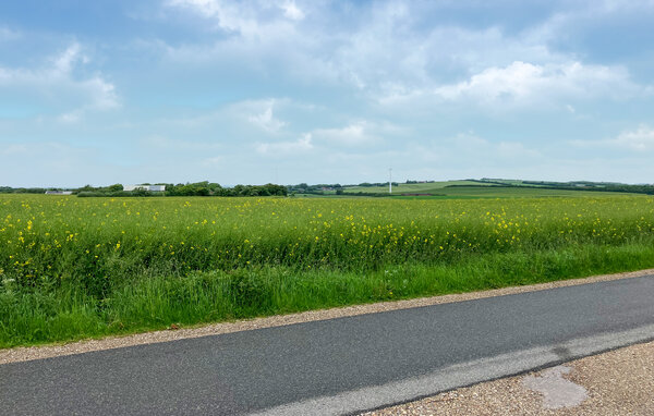 Ferienhaus - Sønderhaa , Dänemark - B30053 9