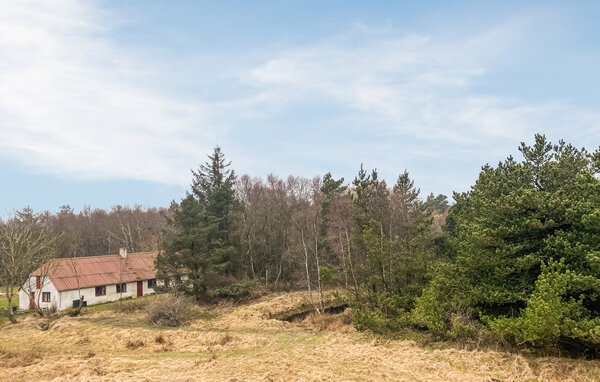 Ferienhaus - Svankjær , Dänemark - B40001 82