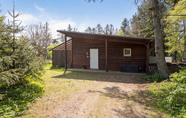 Holiday Home - Svankjær , Denmark - B40019 83