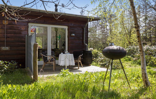 Holiday Home - Svankjær , Denmark - B40019 101