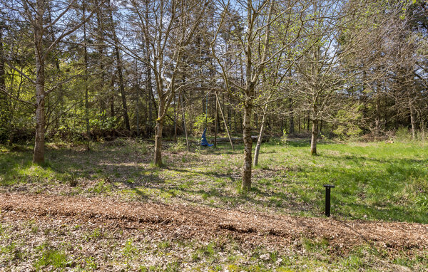 Holiday Home - Svankjær , Denmark - B40019 105