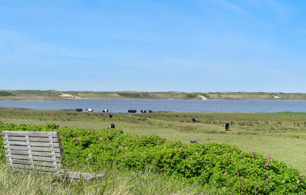 Ferienhaus - Agger Strand , Dänemark - B40601 904