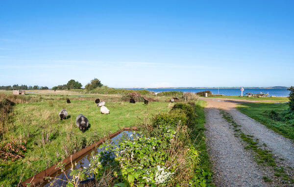 Ferienhaus - Dragstrup Vig , Dänemark - B51220 901