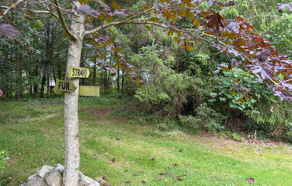 Feriehus - Fursund , Danmark - B51309 801