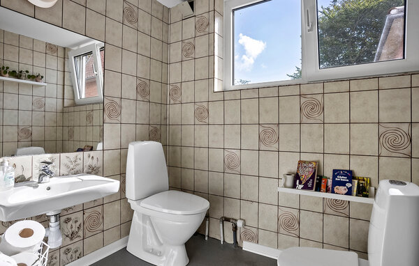 Feriehuse - Hvidbjerg / Salling , Danmark - B51446 704