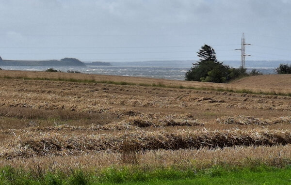 Vakantiehuis - Mors , Denemarken - B51715 7