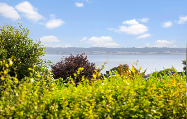 Feriehuse - Eskov Strand , Danmark - B51719 2