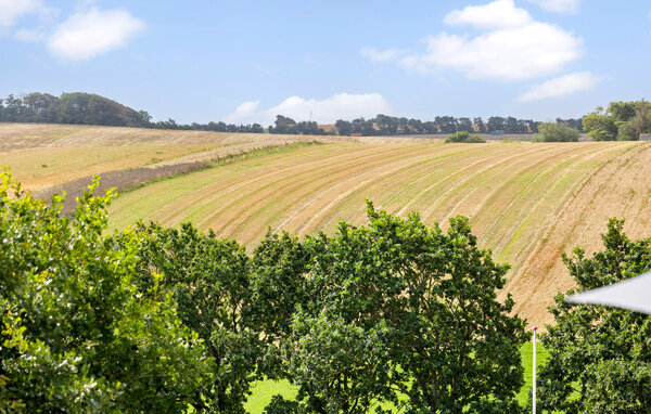 Feriehuse - Eskov Strand , Danmark - B51719 201