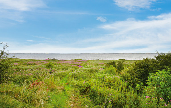 Ferienhaus - Futtrup Strand , Dänemark - B52207 901