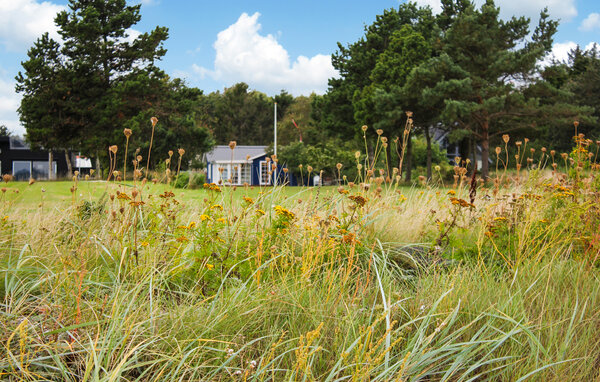 Vakantiehuis - Søndbjerg Strand , Denemarken - B52411 82