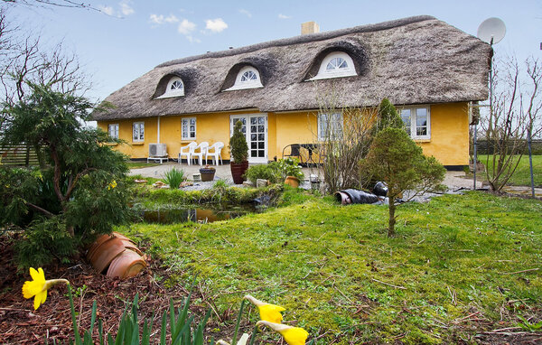 Location de vacances - Tambohus Strand , Danemark - B52419 81