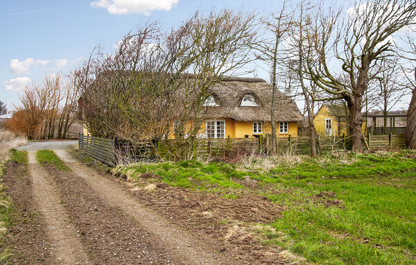 Location de vacances - Tambohus Strand , Danemark - B52419 82