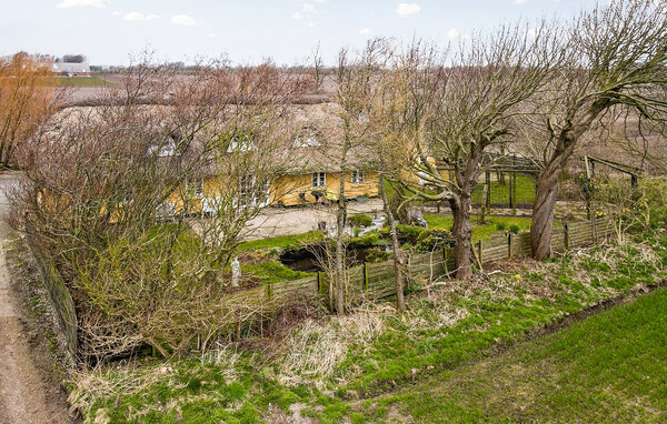 Location de vacances - Tambohus Strand , Danemark - B52419 86