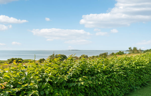 Feriehuse - Amtoft Strand , Danmark - B60122 203