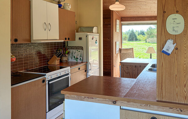 Vakantiehuis - Lild , Denemarken - B70217 401