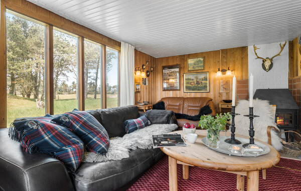 Feriehuse - Kollerup Klit , Danmark - B71536 2
