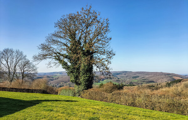 Vakantiehuis - Rendeux , België - BLX085 103
