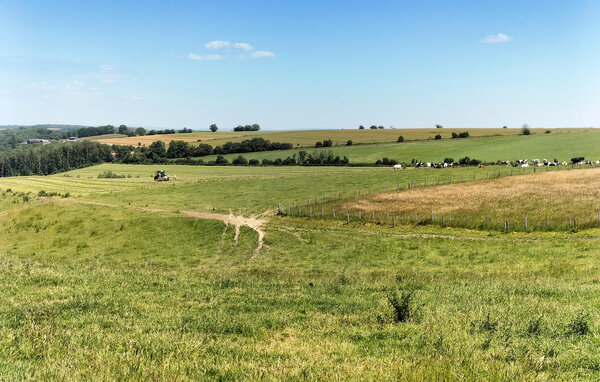 Holiday Home - Rendeux , Belgium - BLX097 906