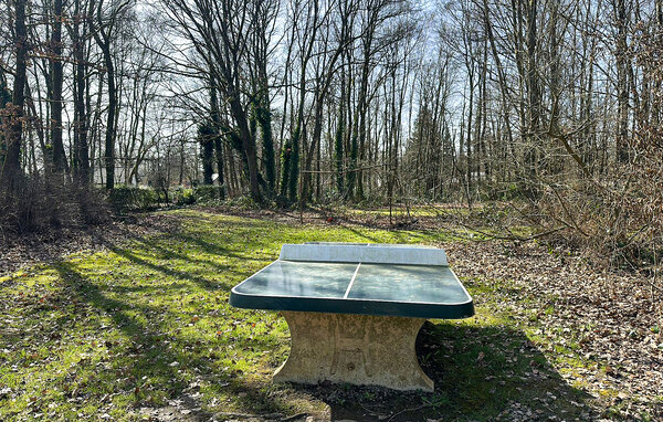 Semesterhus - Rendeux , Belgien - BLX098 101