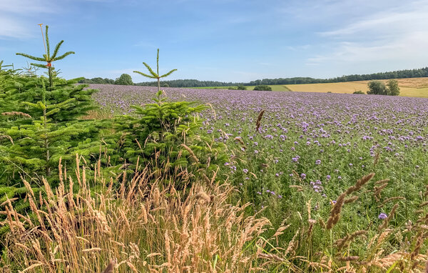 Kuća-za-odmor - Vresse-sur-Semois , Belgija - BNA037 903