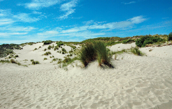Semesterlägenhet - Koksijde , Belgien - BVA109 903