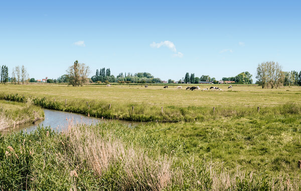 Ferienhaus - Diksmuide , Belgien - BVA177 202