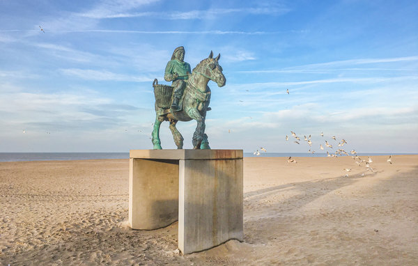 Kuća-za-odmor - Oostduinkerke , Belgija - BVA181 902