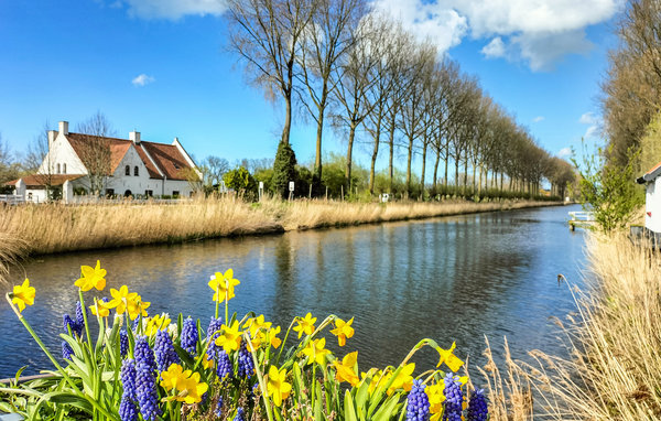 Feriehuse - Damme , Belgien - BVA195 9