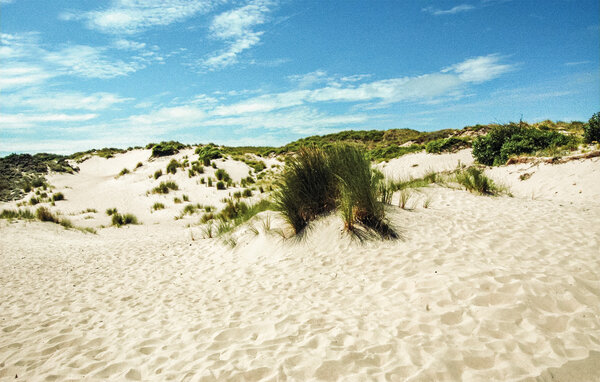 Feriehuse - Koksijde , Belgien - BVA339 903