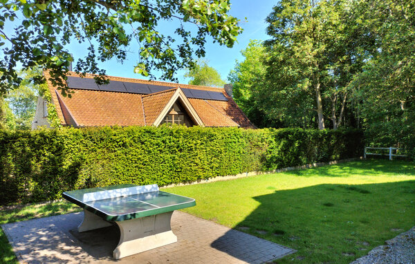 Vakantiehuis - Oostduinkerke , België - BVA342 102