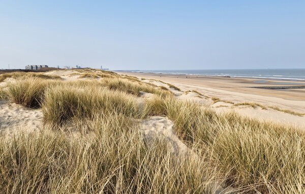 Appartement - Bredene , België - BVA516 2