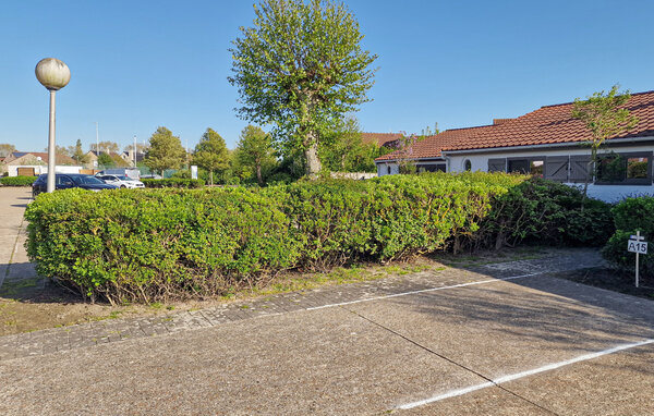 Lejlighed - Bredene , Belgien - BVA516 102