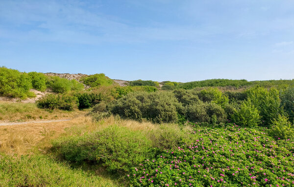 Appartement - Bredene , België - BVA519 904