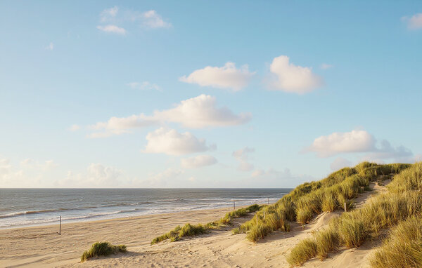Appartement - Bredene , België - BVA519 905