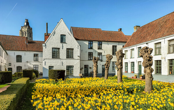 Vakantiehuis - Oudenaarde , België - BVO024 903