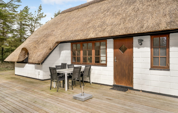 Ferienhaus - Søndervig/Lodbjerg Hede , Dänemark - C01451 2