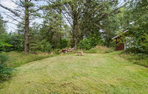 Feriehuse - Søndervig / Lodbjerg Hede , Danmark - C01582 9