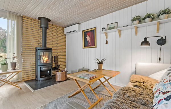 Vakantiehuis - Lodbjerg Hede / Søndervig , Denemarken - C01622 6