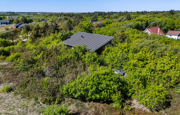 Feriehuse - Søndervig / Lodbjerg Hede , Danmark - C01629 81