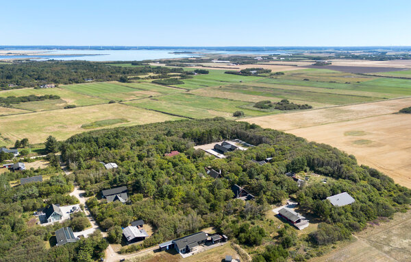 Feriehus - Søndervig / Lodbjerg Hede , Danmark - C01647 82