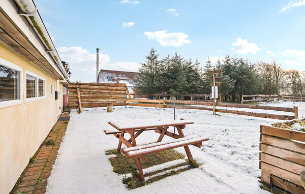 Vakantiehuis - Hee , Denemarken - C02011 2